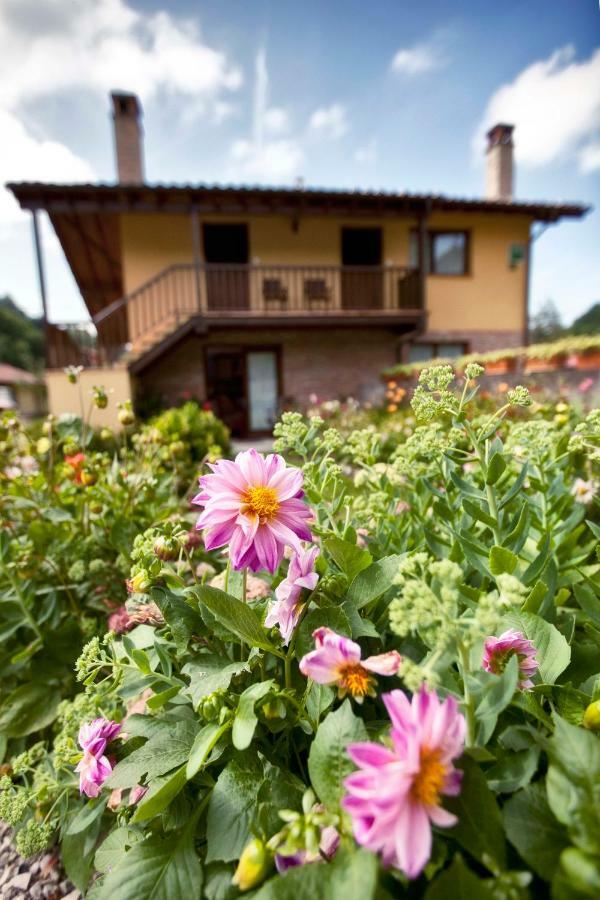 Apartamentos Rio Tabardin Llano-Con Exterior photo